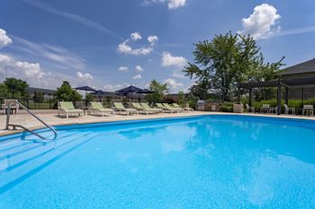 A large blue swimming pool with a metal ladder on the left side.